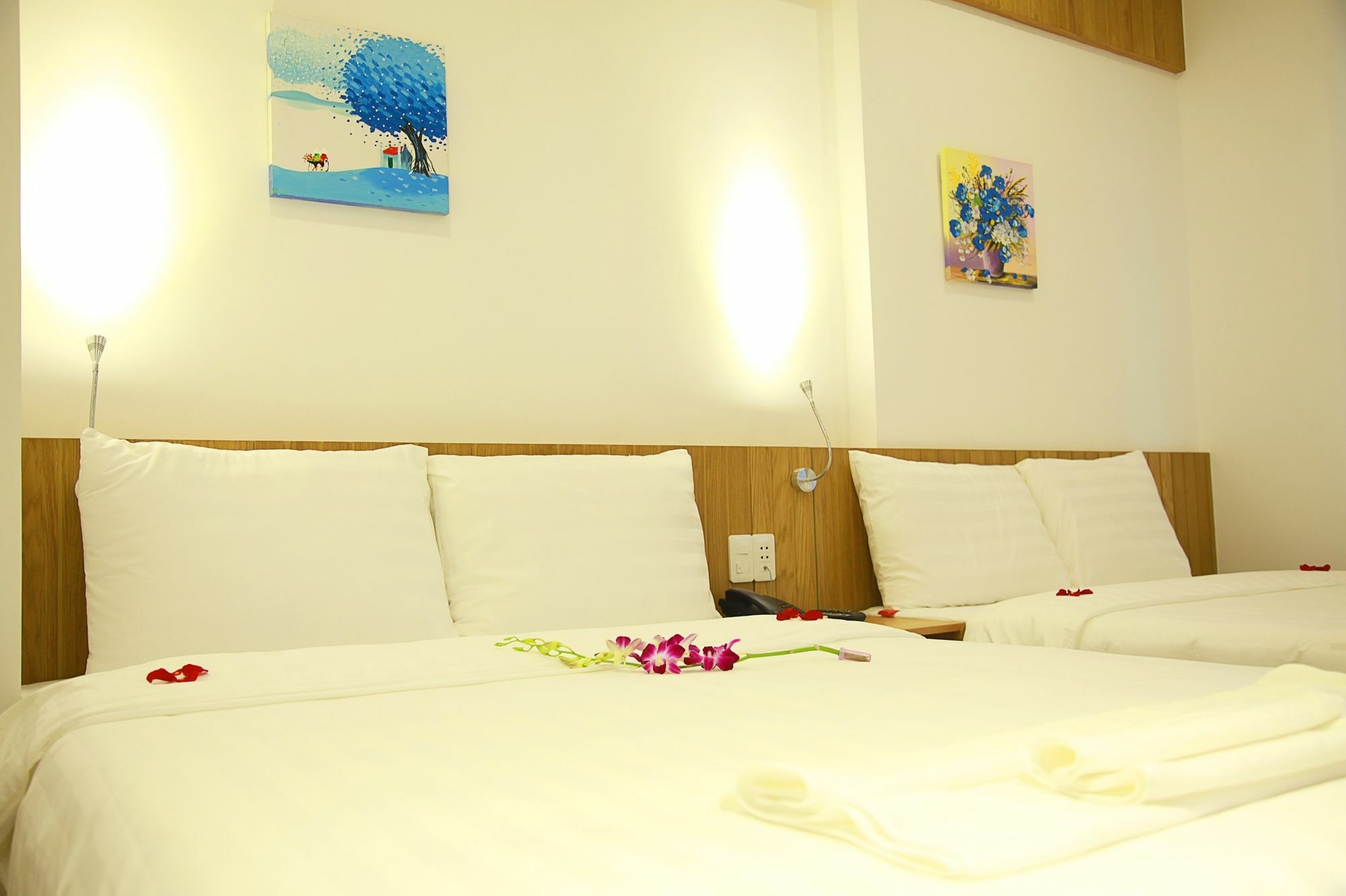 Meraki Hotel Đà Nẵng Extérieur photo